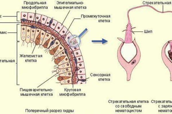 Актуальные ссылки кракен 2025