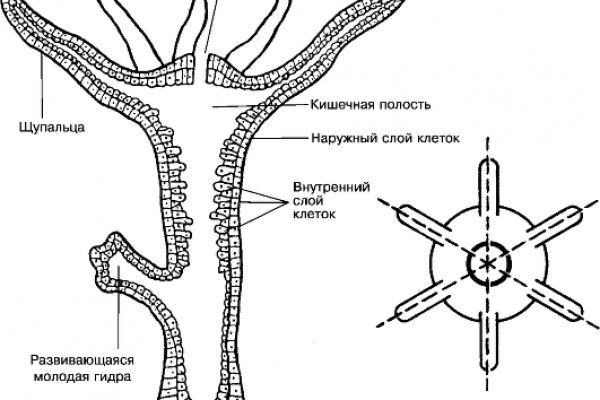 Кракен сайт юнион